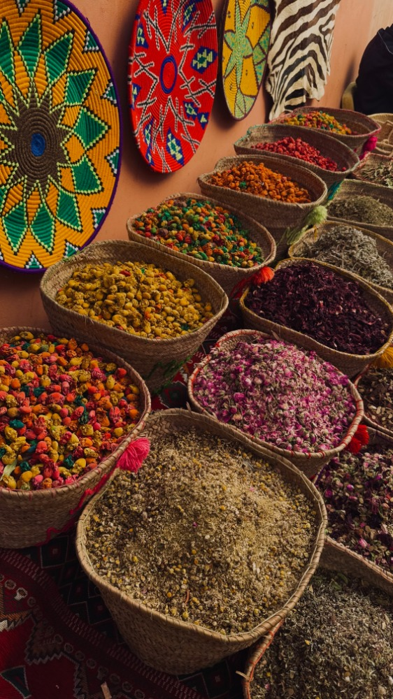 Souk Agadir Visit